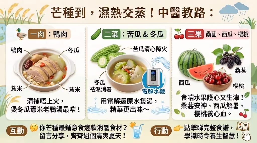 芒種飲食智慧:「一肉二菜三果」,食出清爽好體質